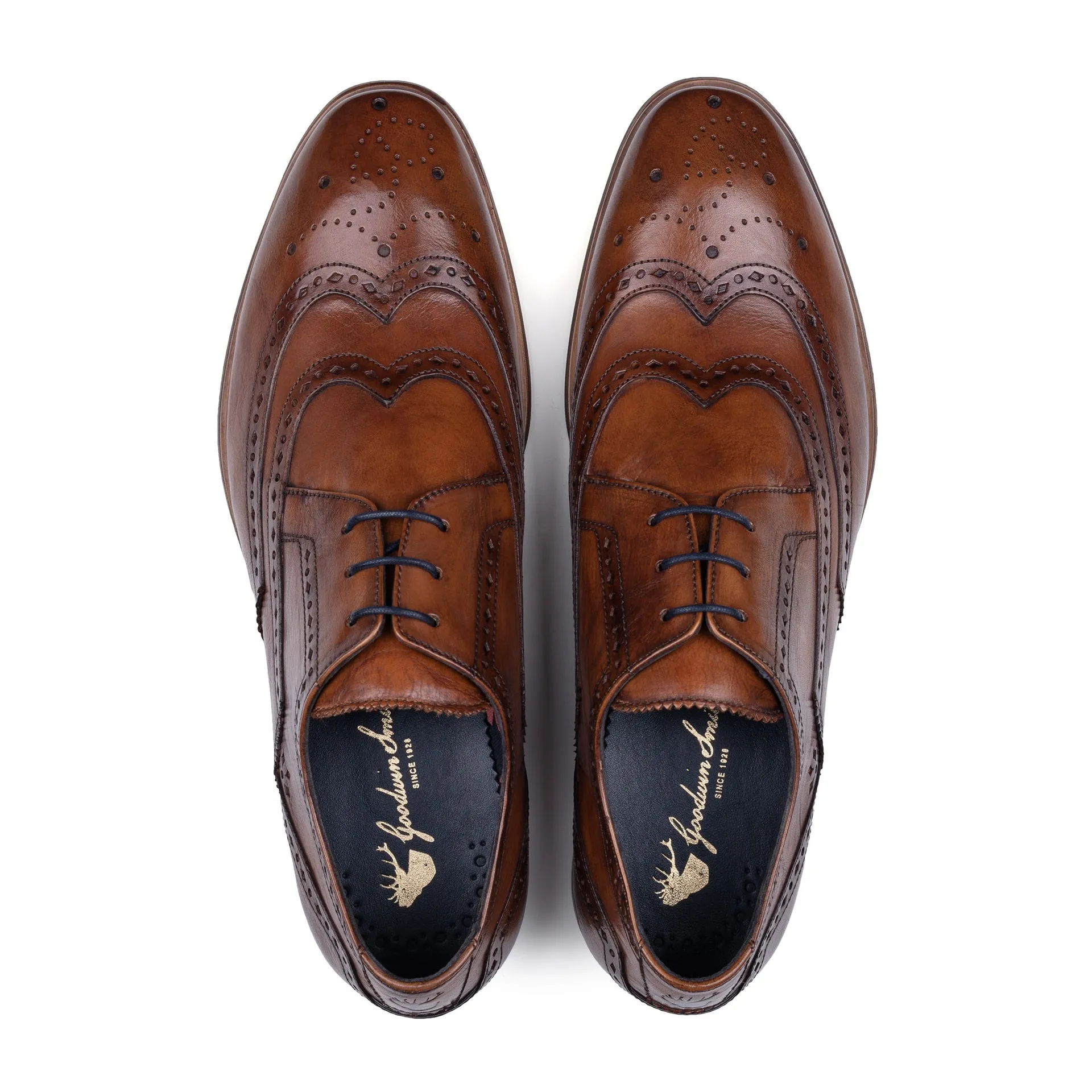 Daniel Tan Derby Brogue shoes