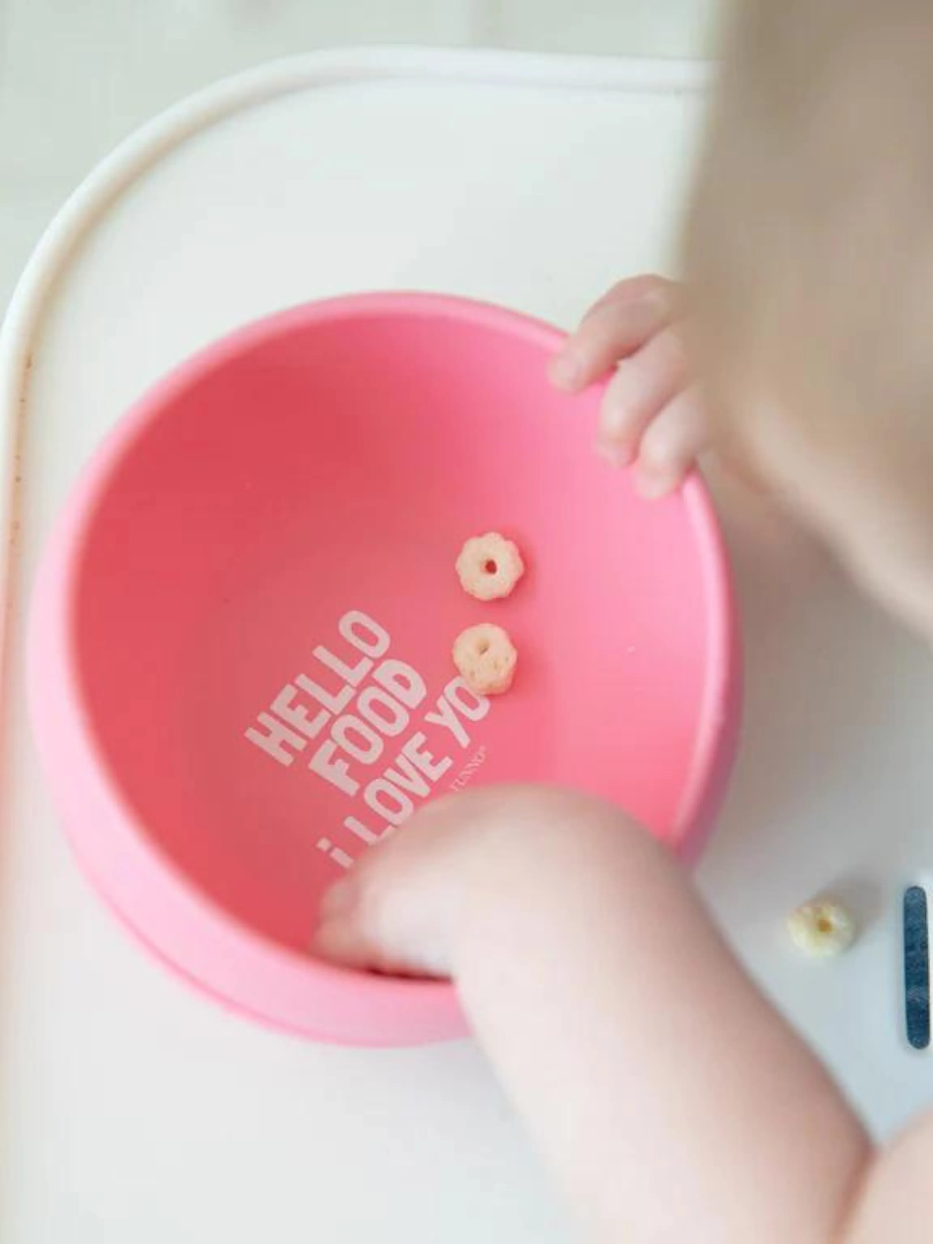 Food Suction Bowl